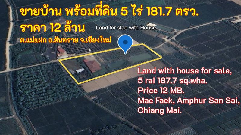 ขายบ้านพร้อมที่ดิน 5 ไร่ 181.7 ตรว. ราคา 12 ล้าน ต.แม่แฝก อ.สันทราย จ.เชียงใหม่ ห่าง โรยอล เชียงใหม่ ห่าง เดอะ รอยัล เชียงใหม่ กอล์ฟ รีสอร์ท 1 กม.
