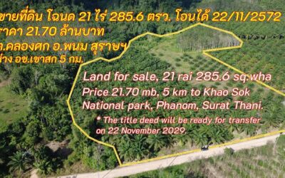 ขายที่ดิน 21 ไร่ 285.6 ตรว. 21.28 ล้าน โอนกรมสิทธิ์ ได้วันที่ 22/11/2572 แต่สามารถเข้าครอบครองได้ทันที