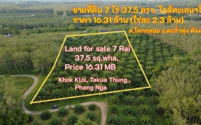 ขายที่ดินใกล้ทะเล 11 ไร่ 37.5 ตรว. เพียง 16.31 ล้านบาท (ไร่ละ 2.3 ล้าน)