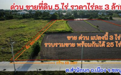 ขายที่ดิน 5 ไร่ ราคา 15 ล้าน ด้านหน้าติดถนนคอนกรีต ด้านหลังติดบึงน้ำ ต.สำนักบก อ.เมือง จ. ชลบุรี